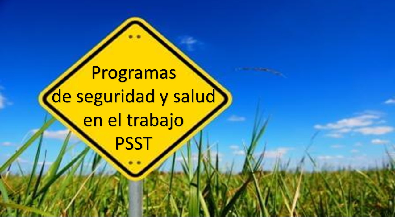 logo PSST personalizado